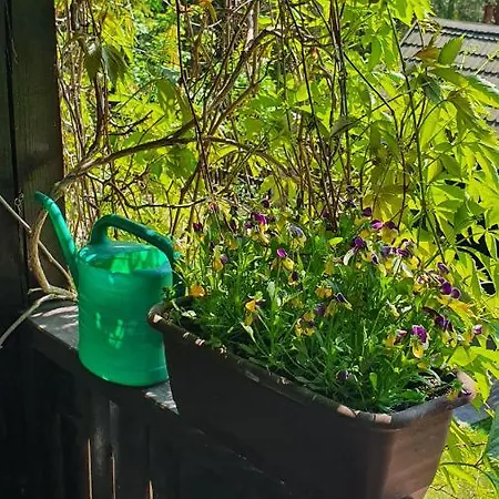 Caloroczny Duzy Dom Na Mazurach N.jeziorem Omulew. Jablonka (Nidzica)